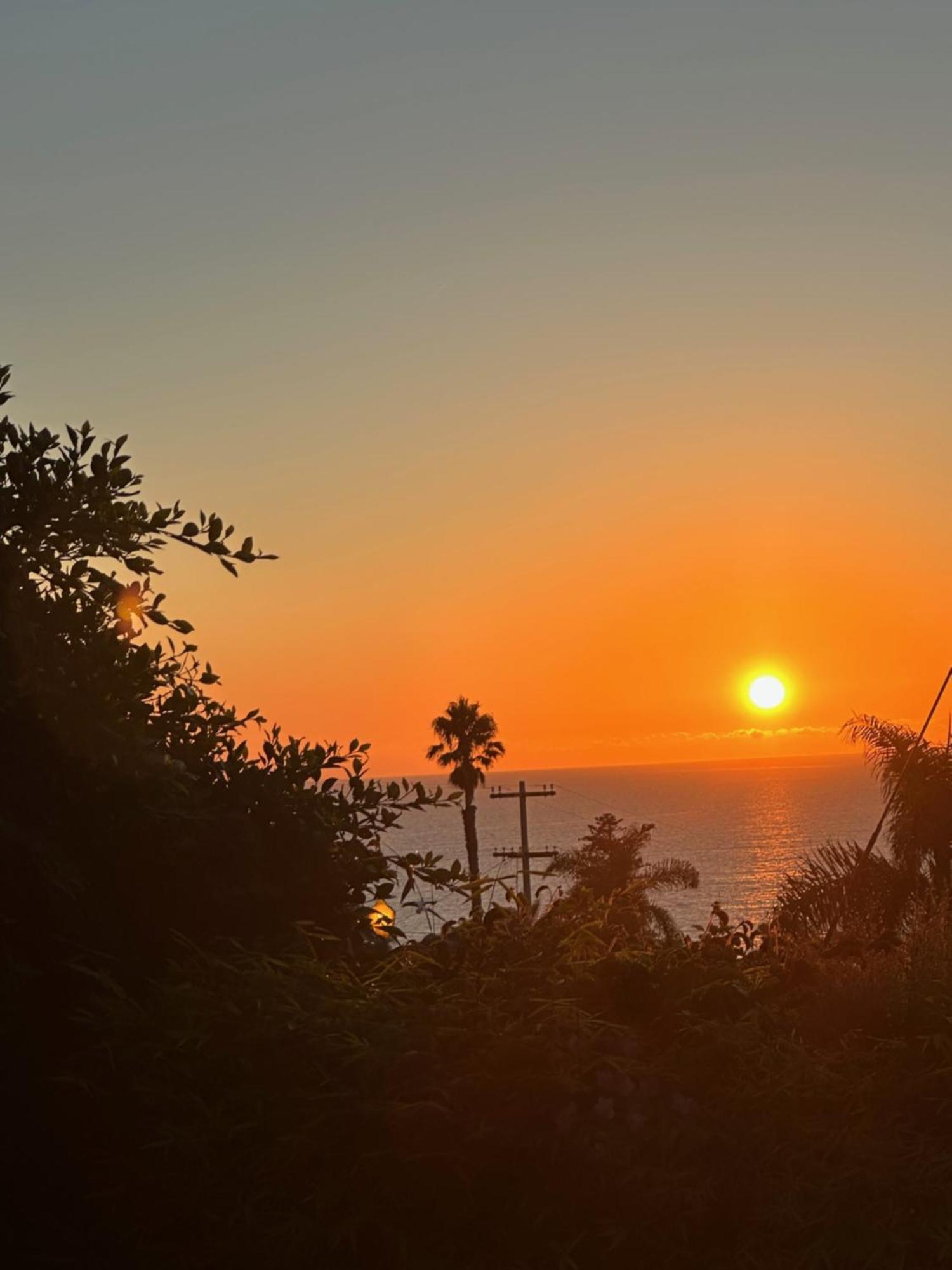 Contemporary Ocean Sunset Views With Firepit Pt Loma Close To Plnu ซานดิเอโก ภายนอก รูปภาพ