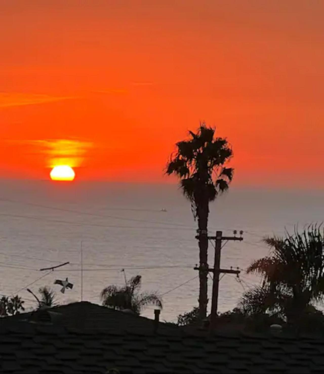 Contemporary Ocean Sunset Views With Firepit Pt Loma Close To Plnu ซานดิเอโก ภายนอก รูปภาพ